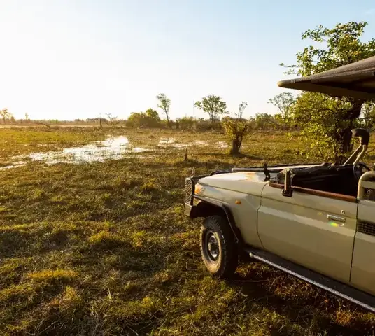 Professional crew photographing a cheetah in the African wilderness